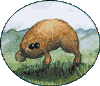 Haggis